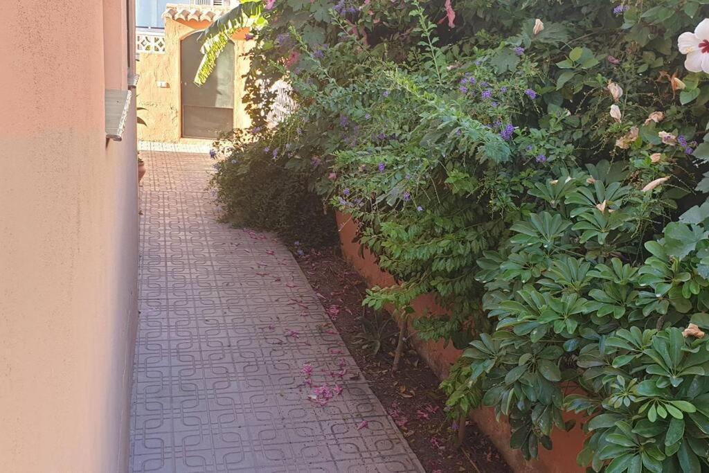 Casa Hurtado De Mendoza Pequena Almuñécar 외부 사진